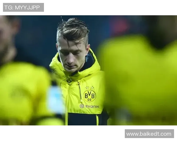 足球明星帅哥罗伊斯的传奇之路与场上风采全解析