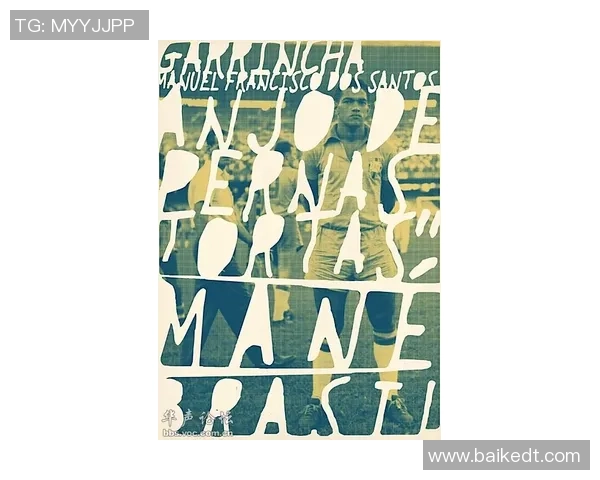 智能预测足球明星表现的软件助你洞察未来赛场动态