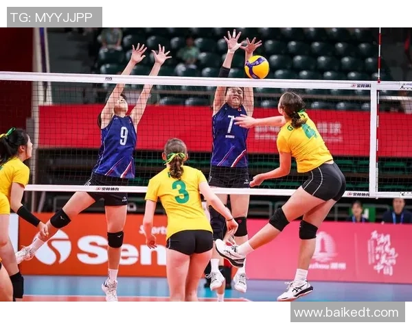 权威发布：2023年排球团队协作实力排行榜全面解析与深度解读