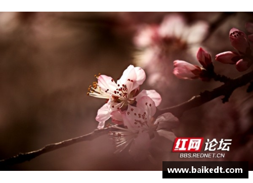 梅春：绽放山野，绕梦飞舞